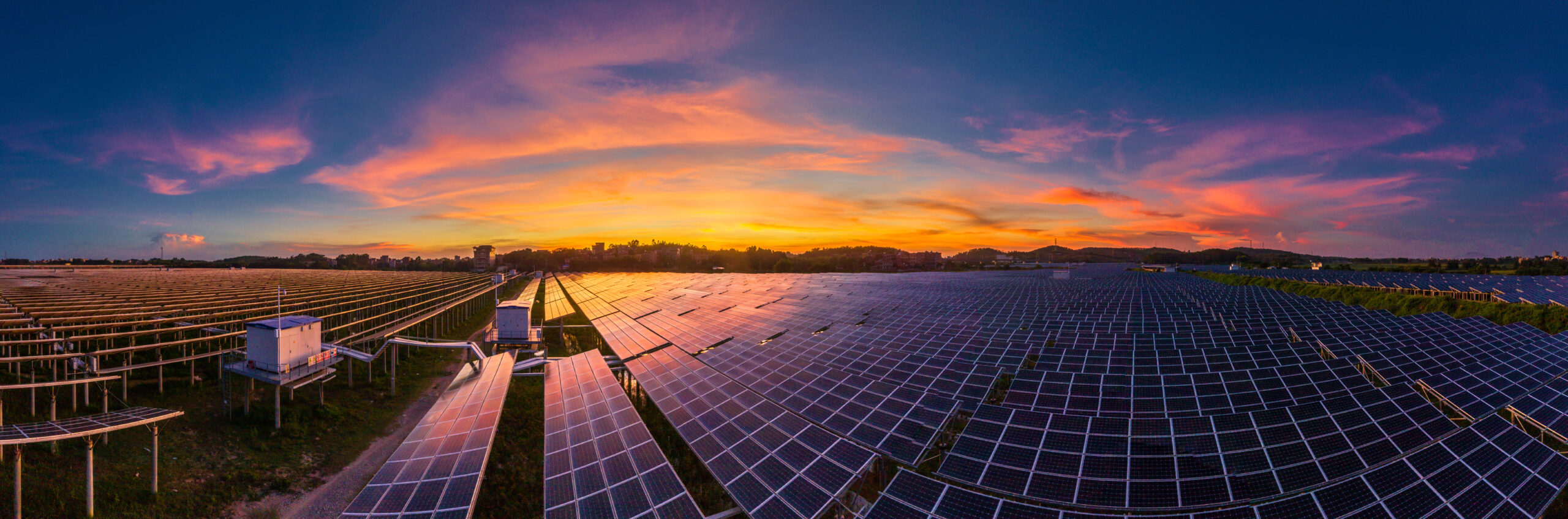 Solar Plant on Sunset